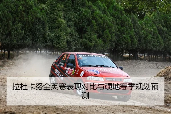 拉杜卡努全英赛表现对比与硬地赛季规划预测